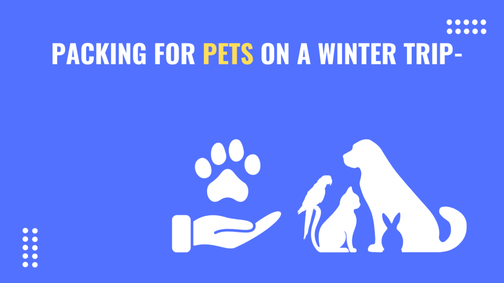 Packing for Pets on a Winter Trip